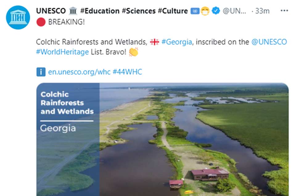 Тропические леса и болота Колхети внесены в список всемирного наследия ЮНЕСКО