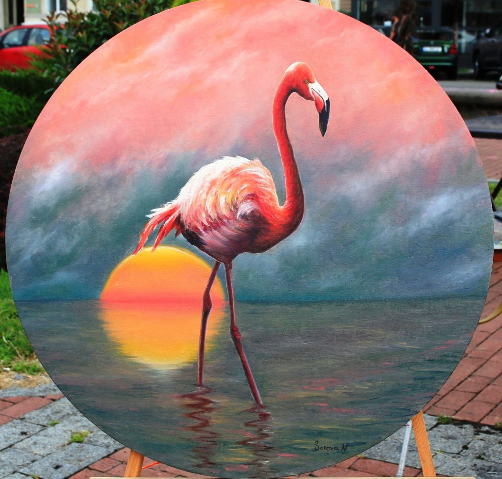 3. фламинго на озере