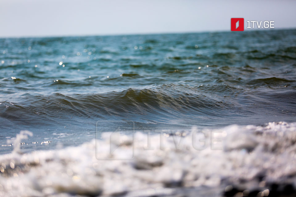 Национальное агентство окружающей среды — Качество воды в Черном море в норме