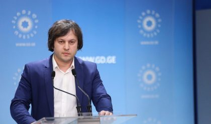 Введение визового режима для граждан РФ не планируется – лидер «Грузинской мечты»